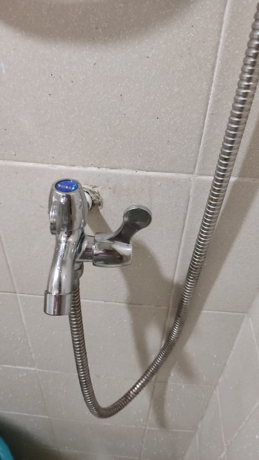Supply And Replace Double Headed Tap 2